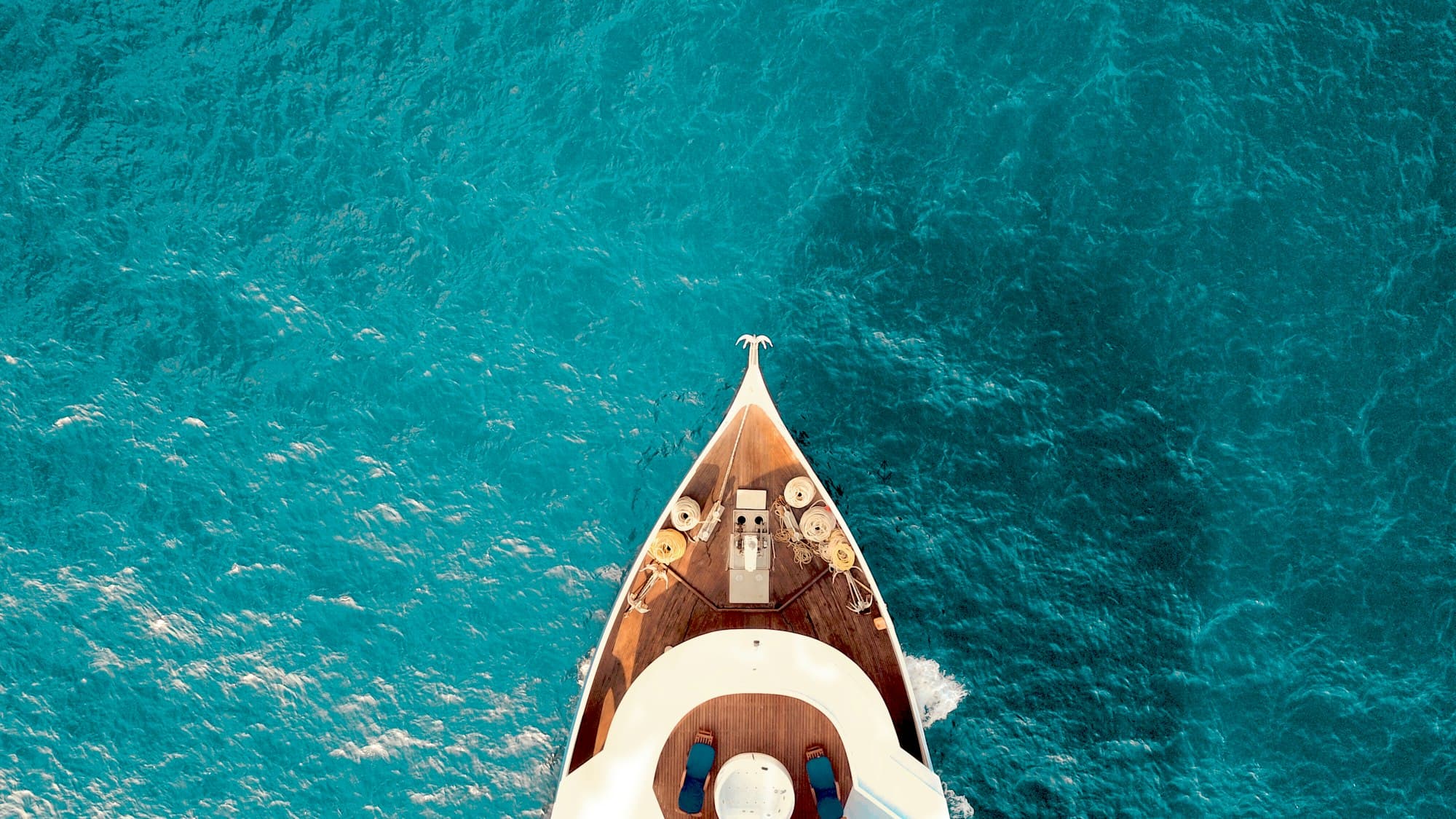 Leopard 40 Vision