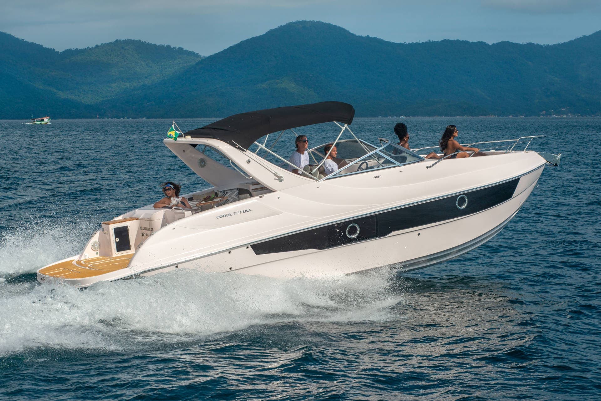 Coral 33 Aberta