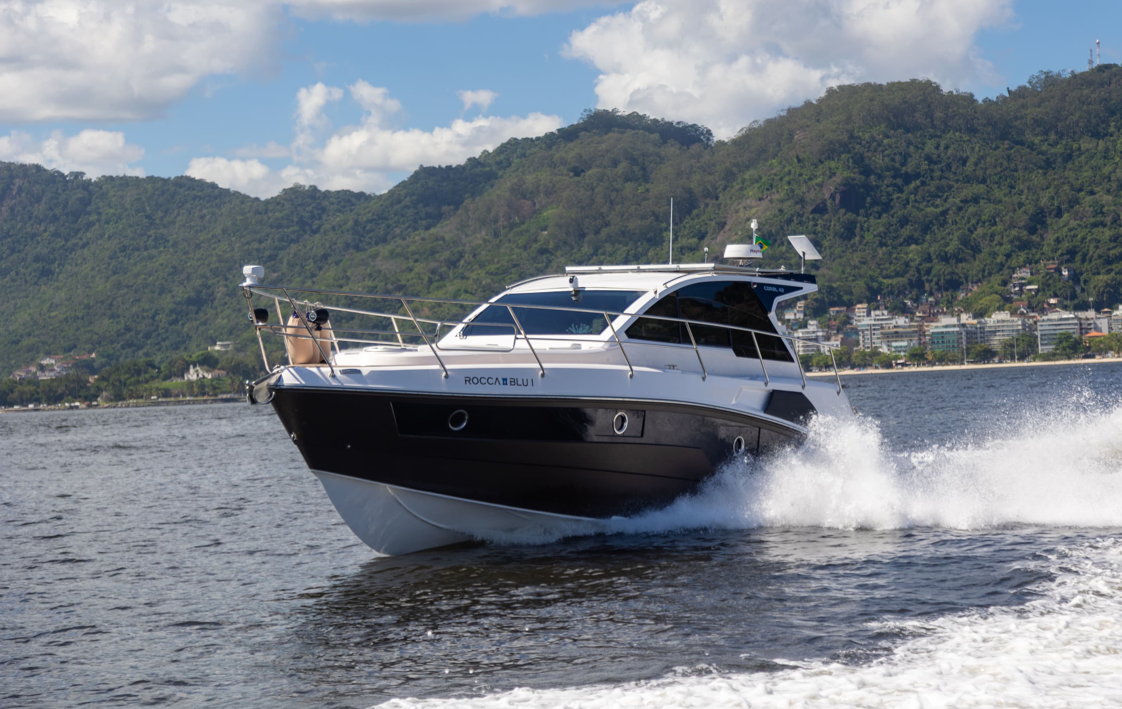 Coral 42